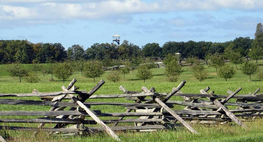 The Peach Orchard