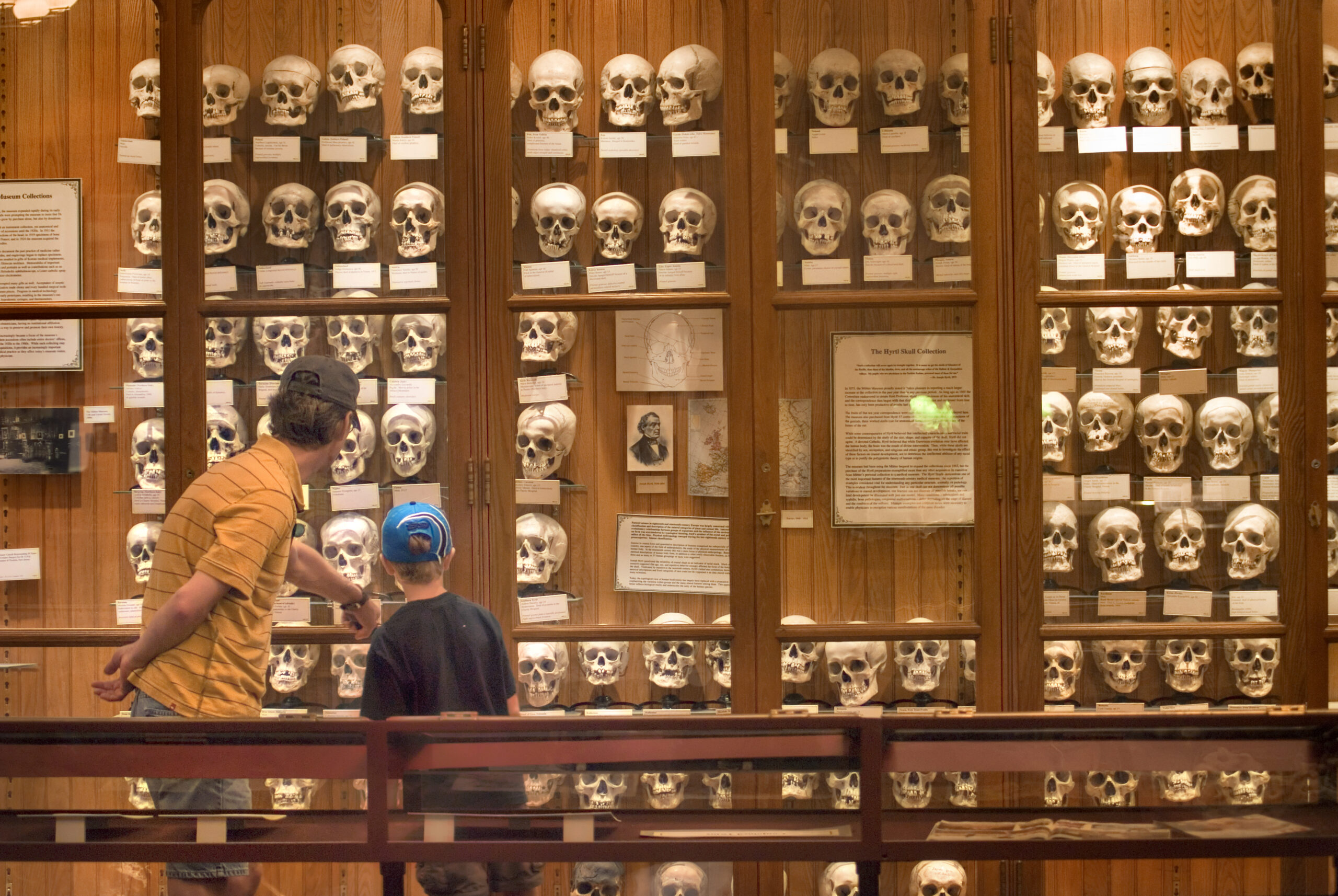 The Mutter Museum Gettysburg Battlefield Tours